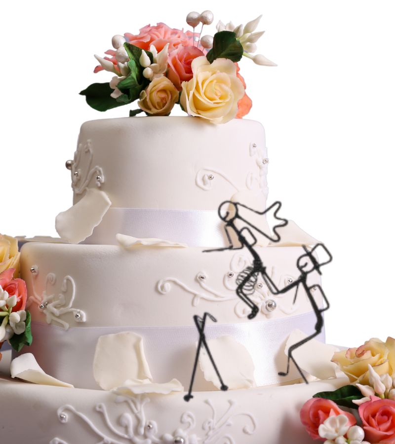 bride and groom hikers cake topper